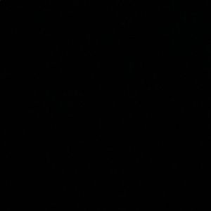 Meet your Posher, Chyna